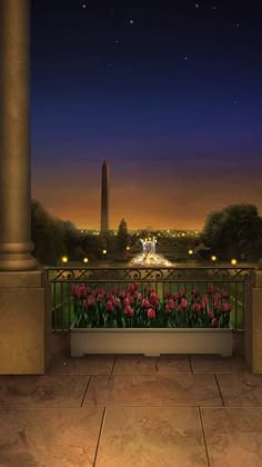 a night scene with the washington monument in the distance and flowers growing on the balcony