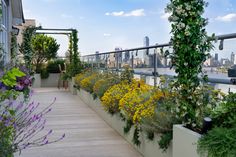 a balcony with lots of plants and flowers on the outside, along with a city skyline in the background