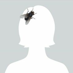 a fly sitting on top of the head of a person's head in front of a gray background