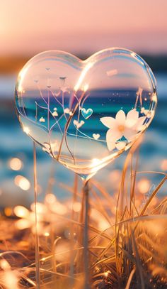 a heart shaped bubble sitting on top of grass next to the ocean with flowers in it