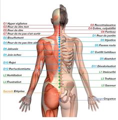 La symbolique du corps permet de comprendre la somatisation des maux. Cartographie (mapping) des points le long de la colonne vertébrale. Le Mal A Dit, Massage Techniques, 7 Chakras, Reflexology, Acupressure, Natural Medicine, Acupuncture, Yoga Meditation, Holistic Health