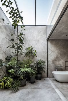 a bathroom with plants and a bathtub in the corner