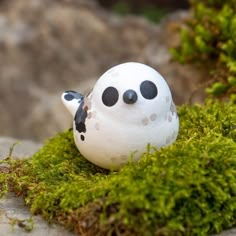 a white and black bird sitting on top of green moss