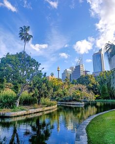 a river running through a lush green park with tall buildings in the backgroud