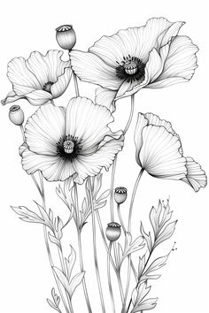 black and white drawing of flowers