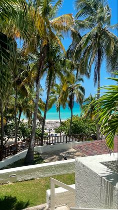 palm trees line the beach in front of a fence and walkway leading to the ocean