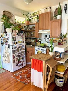 a kitchen with wooden floors and lots of plants on the counter top in front of the refrigerator