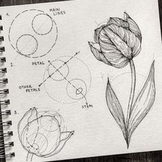 a notebook with some drawings on it and a flower in the middle, next to another drawing