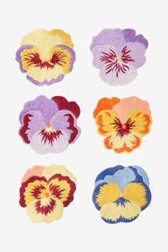 four different colored pansies on a white background