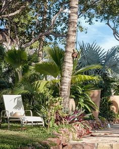 a white lawn chair sitting in the middle of a lush green yard next to a palm tree