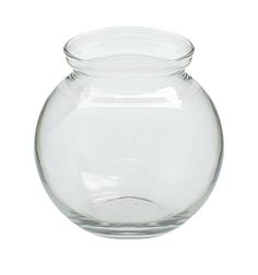 a clear glass fish bowl on a white background