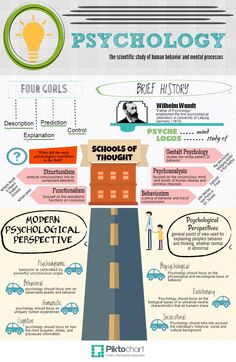 an info poster showing the different types of cars and how they are used to drive