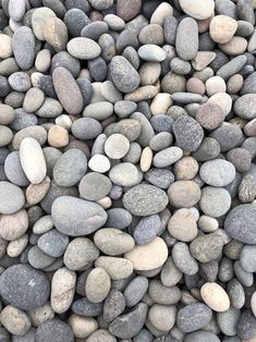 a bunch of rocks that are laying on the ground