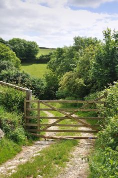 a wooden gate leading to a lush green field