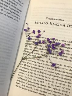 an open book with purple flowers on it next to a page in the language of russian