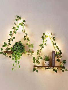 two shelves with plants and books on them, one is shaped like an upside down triangle