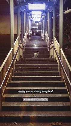 a dog is walking down some stairs in an empty building with the caption finally end of a very long day?