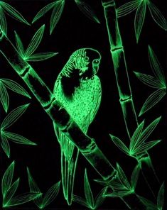 a green bird sitting on top of a tree branch in the dark night time with bamboo leaves around it