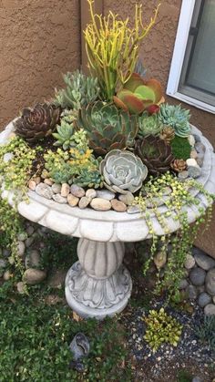 there is a planter with succulents in it on the ground outside