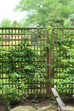 a wooden fence with vines growing on it and some rocks in the ground near by