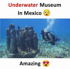 the underwater museum is in mexico and it's amazing