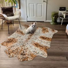 a small white dog sitting on top of a brown and white rug in a living room