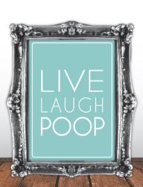 a silver frame with the words live laugh poop in white letters on it, against a wood floor