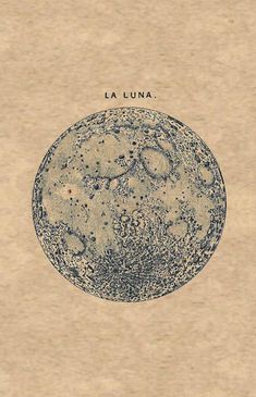 an image of the surface of the moon in blue ink on brown paper with words la luna written below it