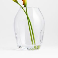 a single flower in a glass vase with water on the bottom and green stems sticking out of it