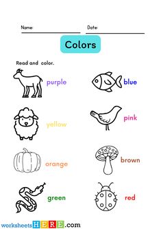 worksheet for kids to learn colors with pictures and words on the back ground