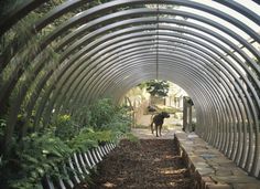 a dog is walking through a tunnel in the park with trees and plants around it