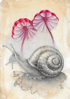 two pink umbrellas and a snail on a piece of paper