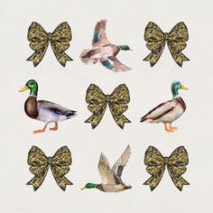 six different kinds of ducks with bows