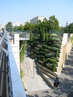 a scooter is parked on the sidewalk next to a wall with plants growing in it