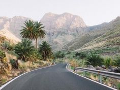 an empty road surrounded by mountains and palm trees