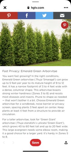 an email page with the text, fast privacy emerald green arbors and how to use it