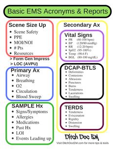 an image of basic ems acronyms and reports