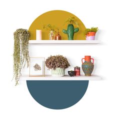 two white shelves with plants and vases on them in front of a yellow circle