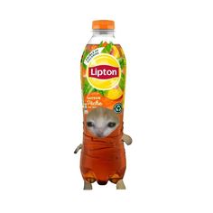 a small hamster in a plastic bottle with oranges on it's back