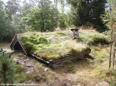 an old abandoned cabin in the woods with moss growing on it's roof and walls