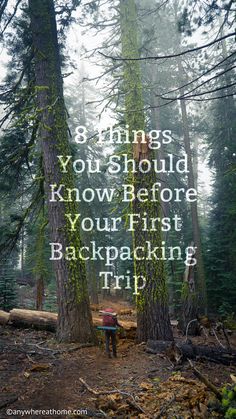 a forest with trees and the words 8 things you should know before your first backpacking trip