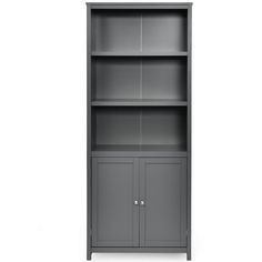 an empty gray bookcase with two doors