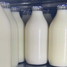 several bottles of milk are lined up on the shelf