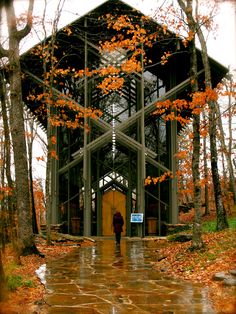 a person standing in front of a building surrounded by trees with orange leaves on the ground