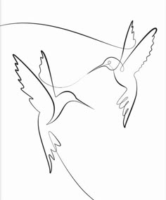 a black and white drawing of a hummingbird flying with its wings spread wide open