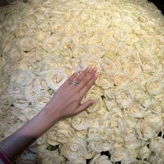 a woman's hand touching the center of a large bouquet of white roses in front of her