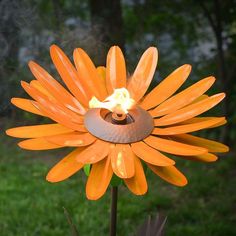 an orange flower that is sitting in the grass