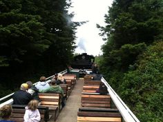 people are sitting on benches looking at a train going down the tracks in the woods