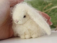 a small white stuffed animal sitting on top of a table next to green grass and someone's hand