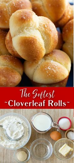 the softest cloverflaf rolls recipe is so good and easy to make